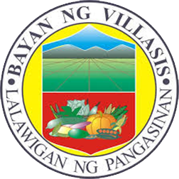 villasis_logo